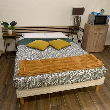 Studio 25M2 En Plein Coeur De بيربينيو المظهر الخارجي الصورة