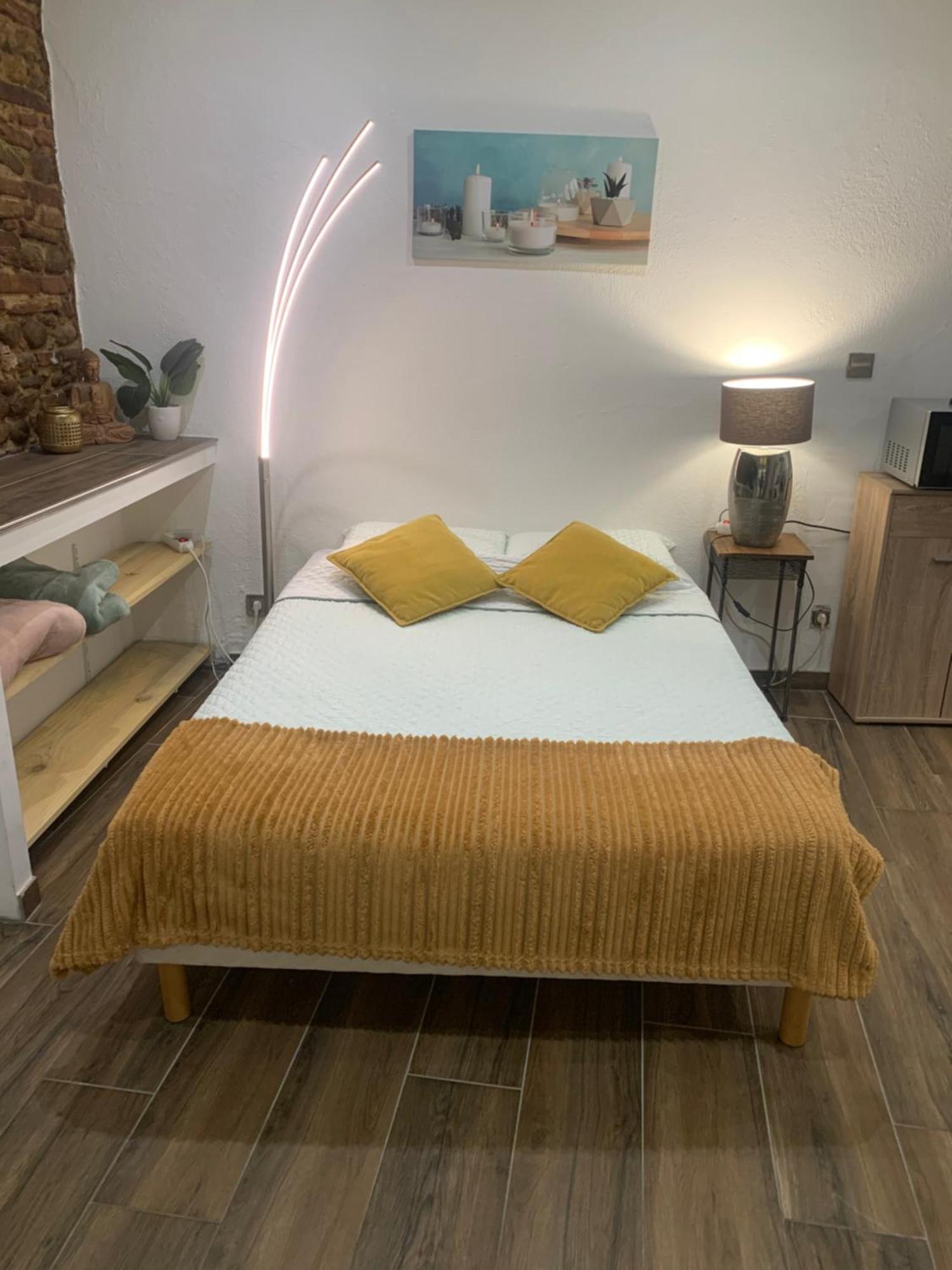 Studio 25M2 En Plein Coeur De بيربينيو المظهر الخارجي الصورة